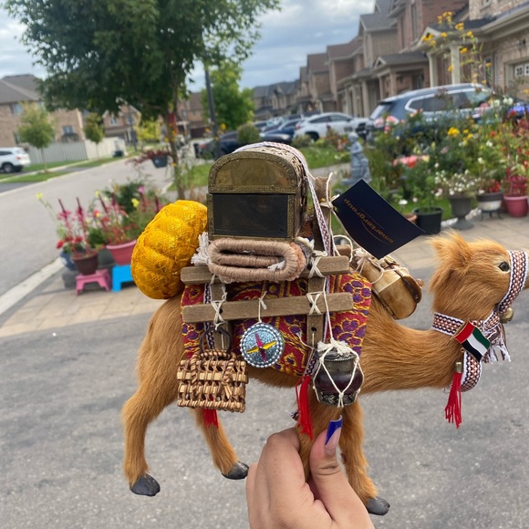 Camel decor - Picture 4 of 4